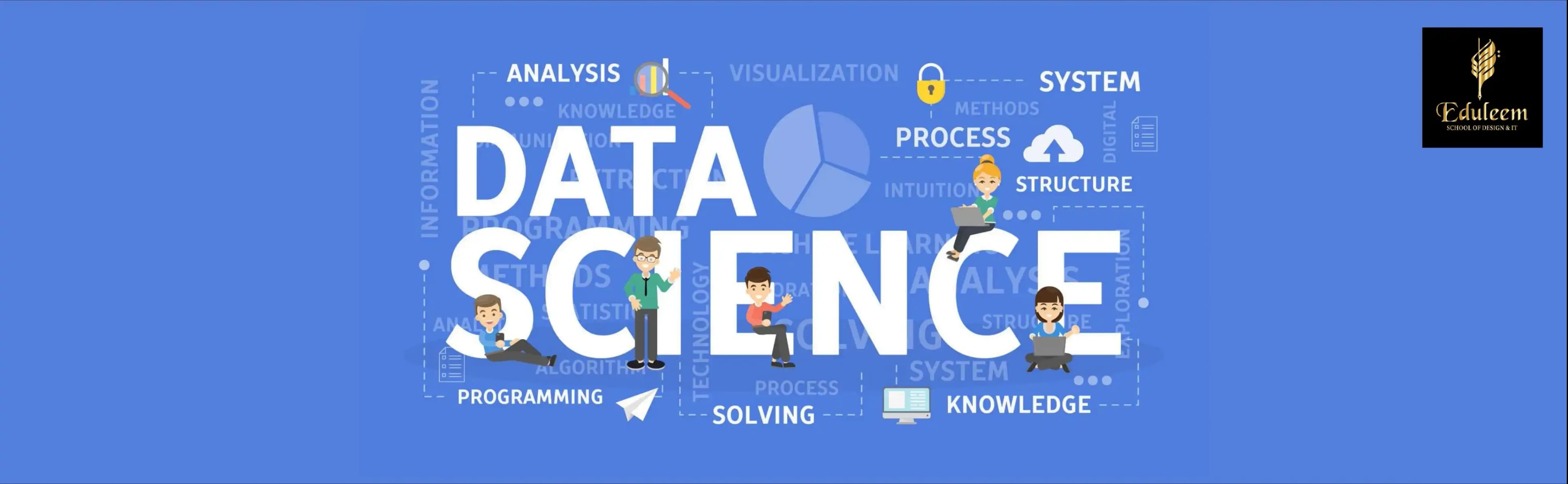 Data science course in Bangalore illustrating programming, data analysis, visualization, and problem-solving skills at Eduleem.